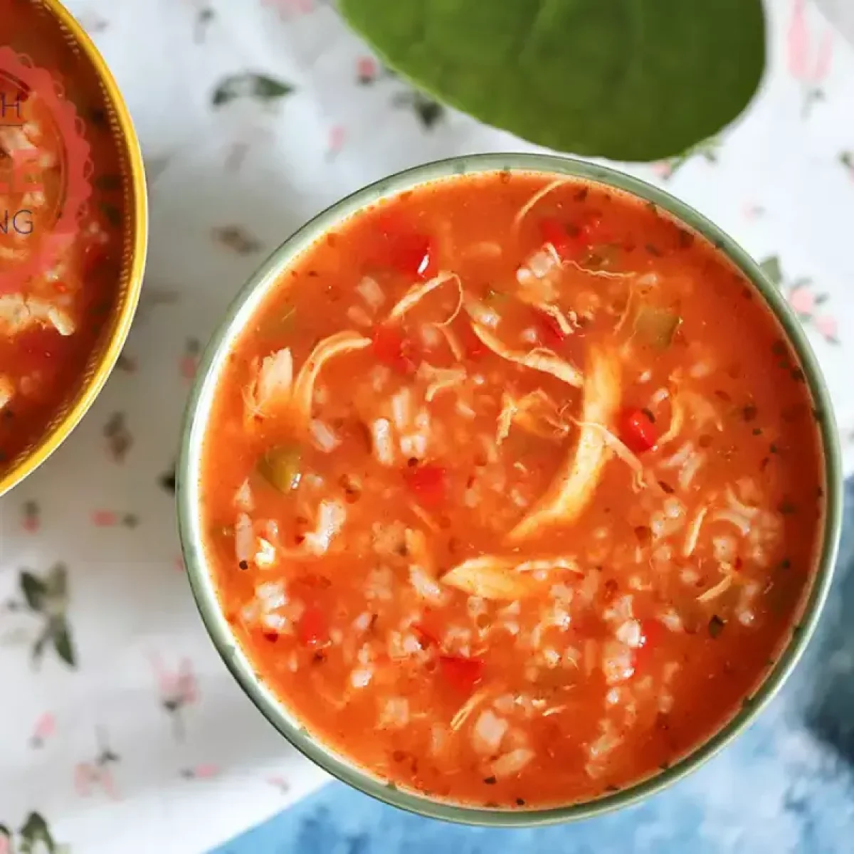 Şehriyeli Tavuk Çorbası